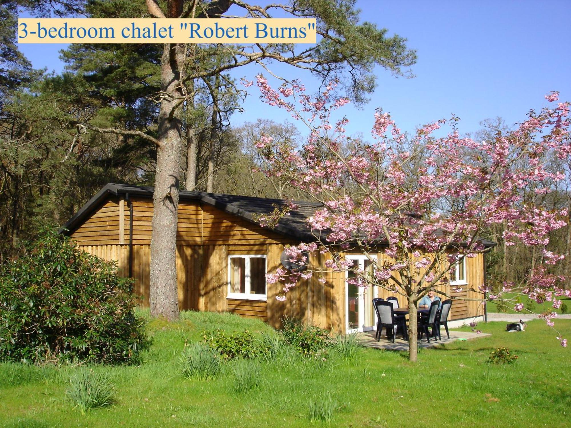 Airdeny Chalets Taynuilt Zimmer foto